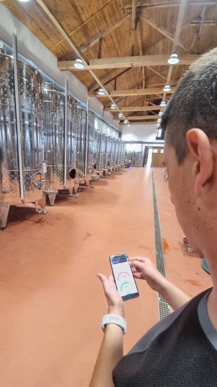Winery operator checking live SCEPTER fermentation telemetry on a phone, in front of a row of stainless steel tanks